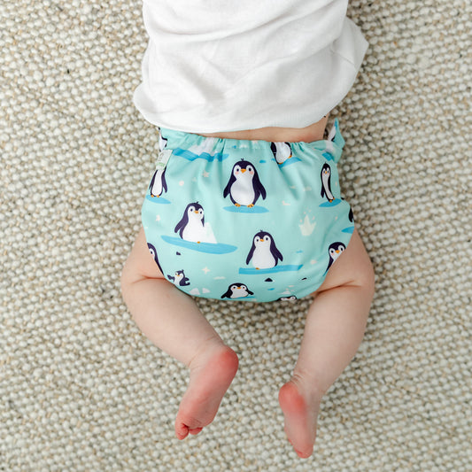 Arctic Penguins Cloth Nappy | One Size Fits Most