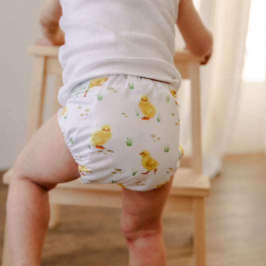 Little Chicks Cloth Nappy | Large