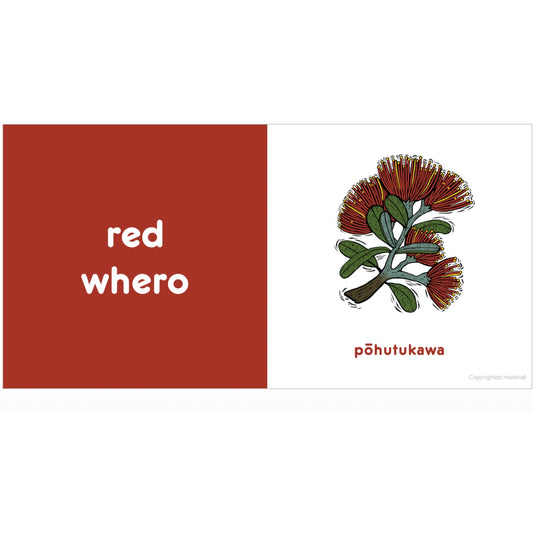 Penguin Books | Colours for Kiwi Babies Board Book from Bear & Moo