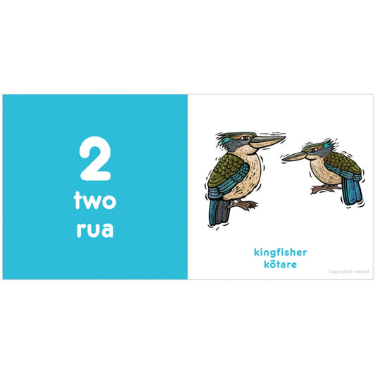 Penguin Books Counting for Kiwi Babies from Bear & Moo