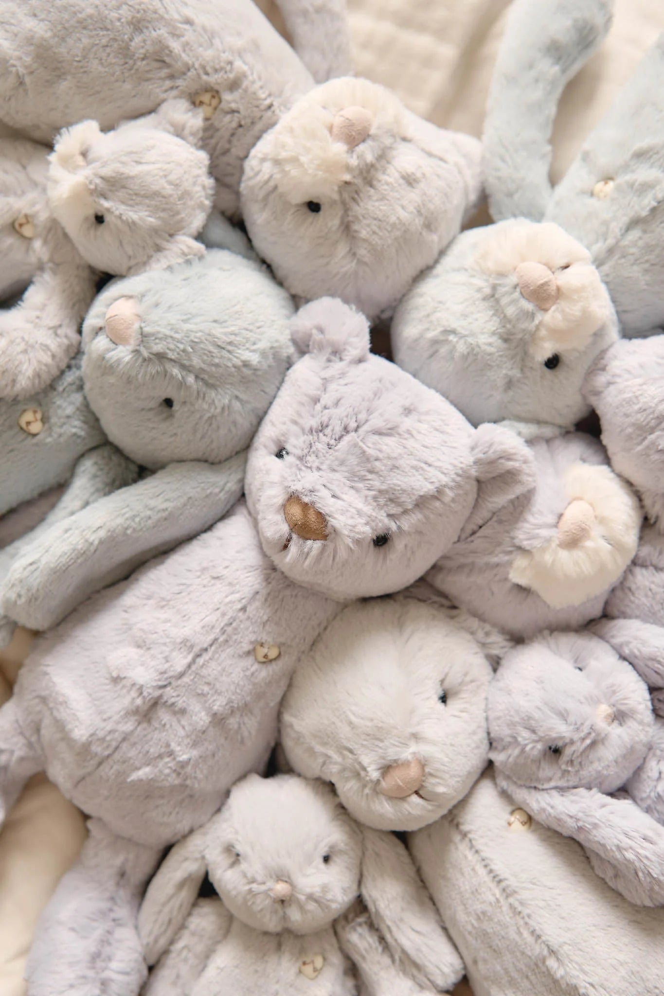 Snuggle Bunnies George the Bear | 30cm available at Bear & Moo